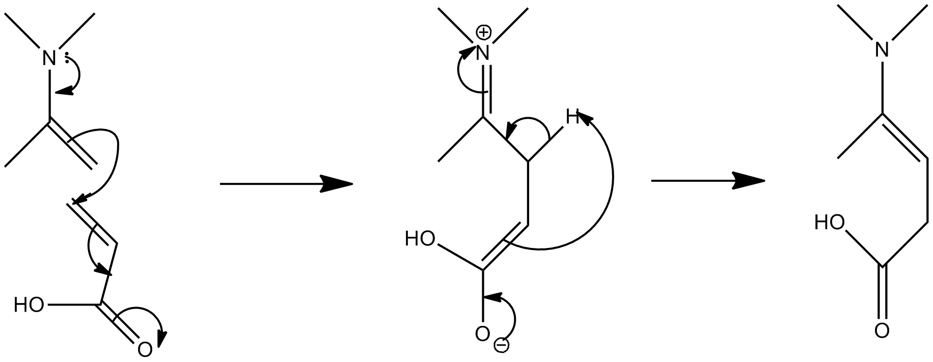 Enamine Reaction Mechanism