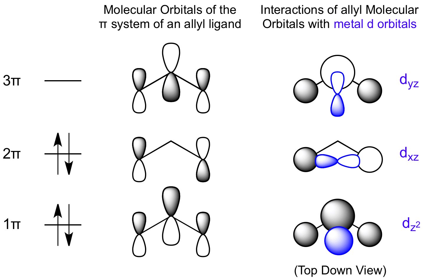 on a possible relation between globular clusters and stars of high