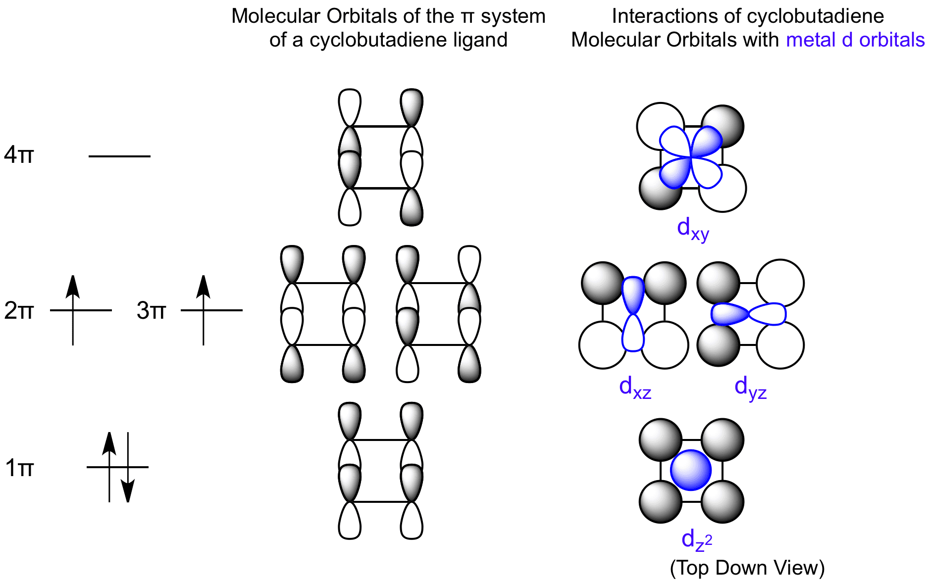 Cyclobutadiene