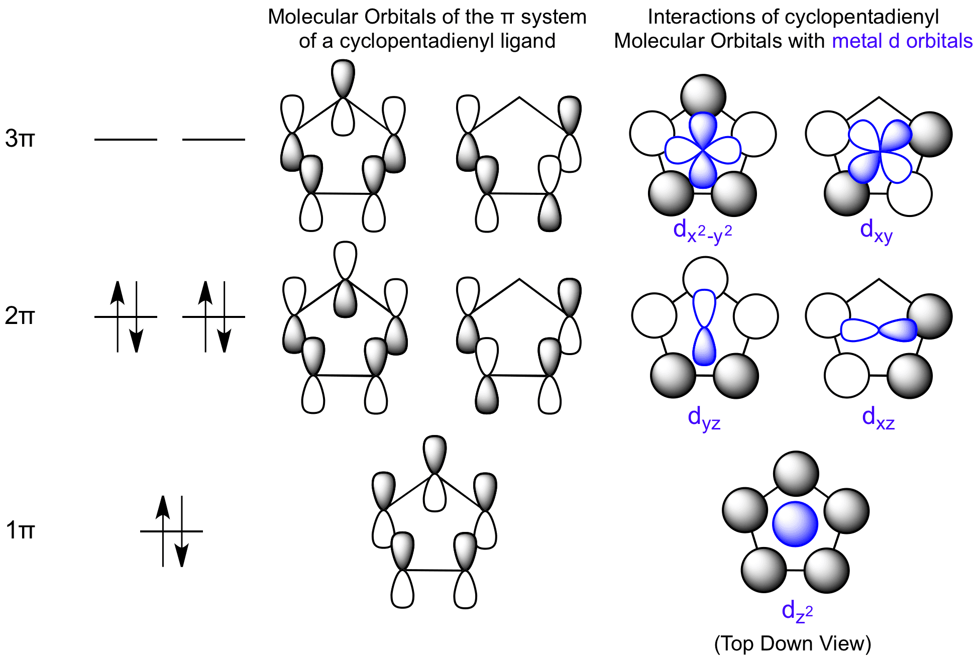 Cyclobutadiene