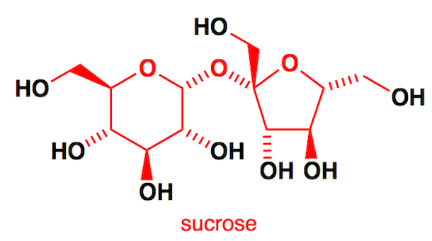 sucrose structural diagram sucrose sucrose structural diagram sucrose