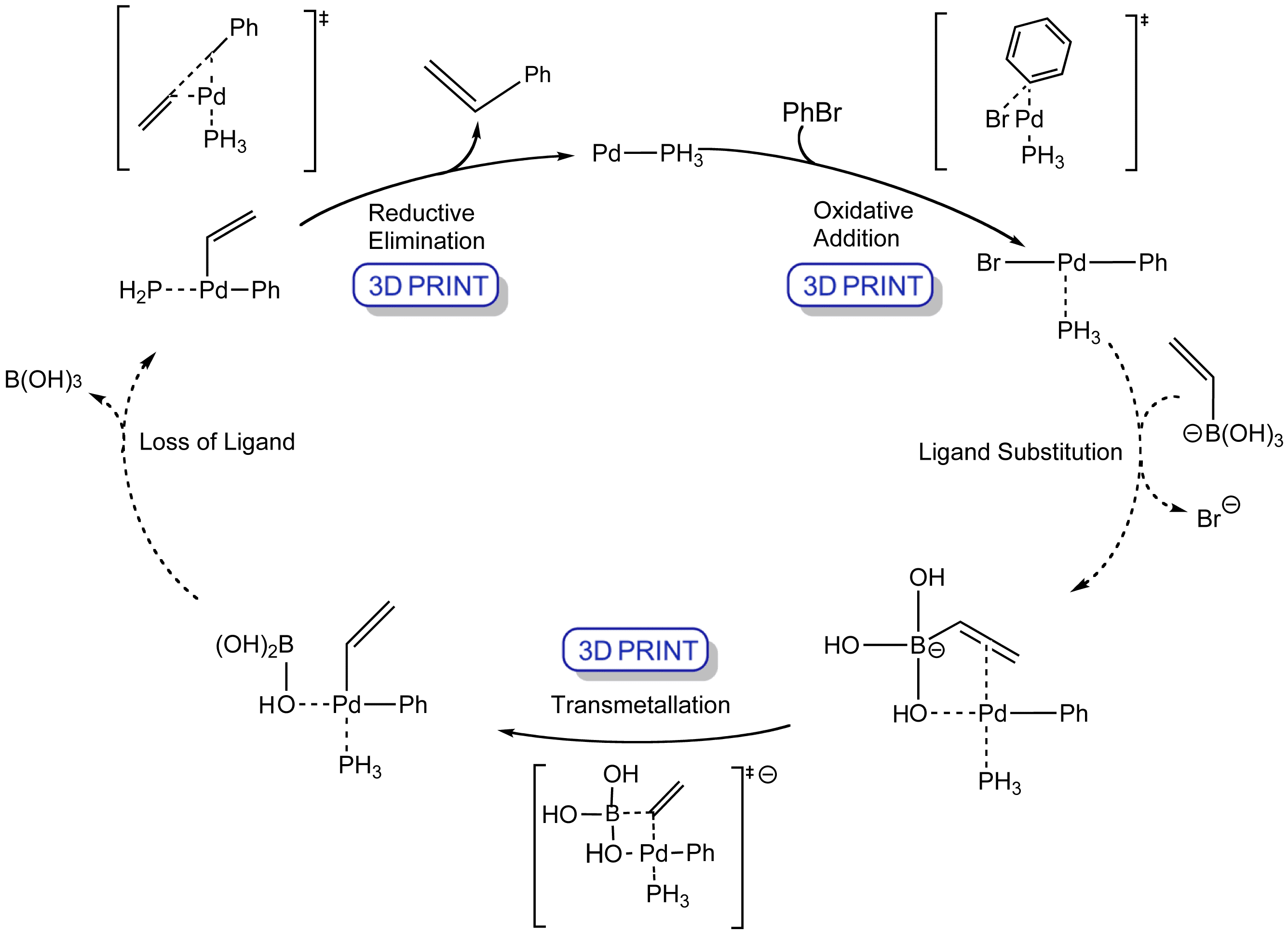 Organopalladium Chemistry - The Suzuki Reaction fluorine phase diagram 