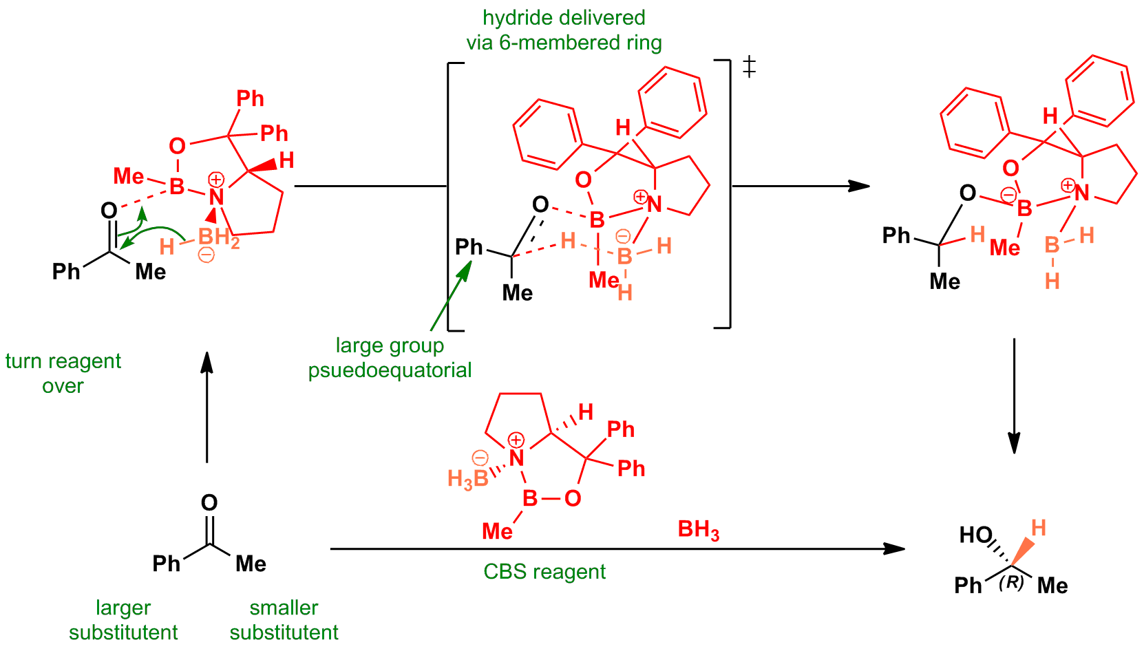 Asymmetric reduction of carbonyl with CBS reagent