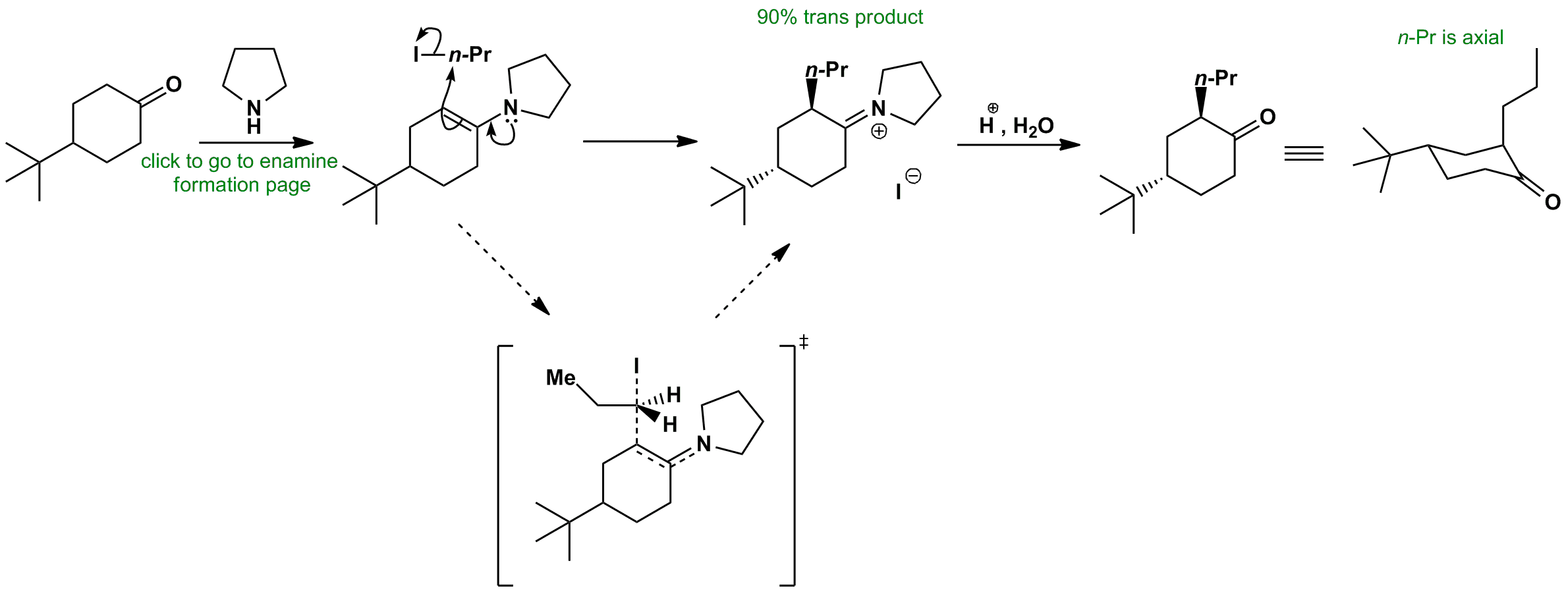 Picture displaying cyclohexanone alkylation