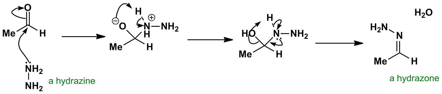 Hydrazone Formation Mechanism