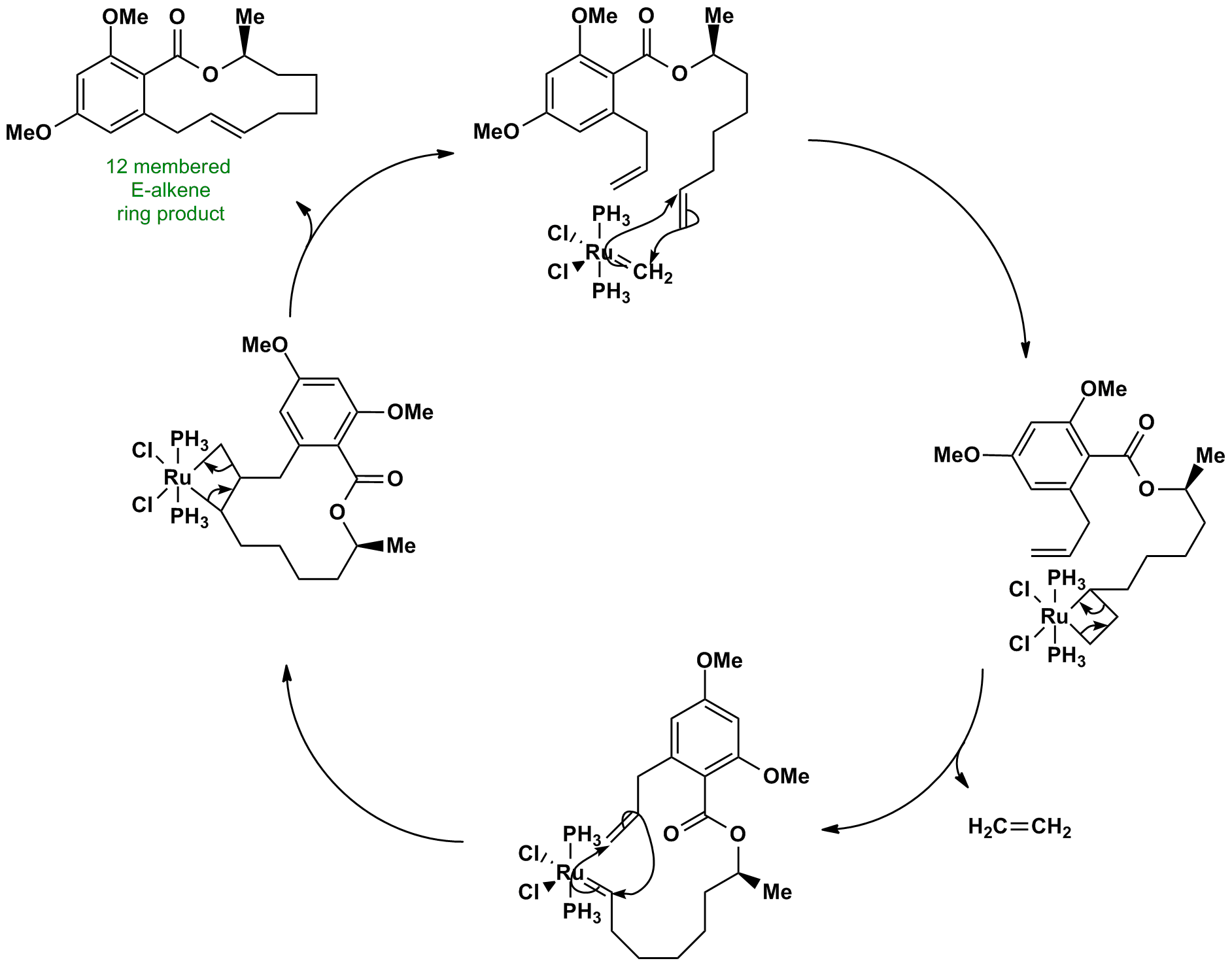 Olefin metathesis mechanism