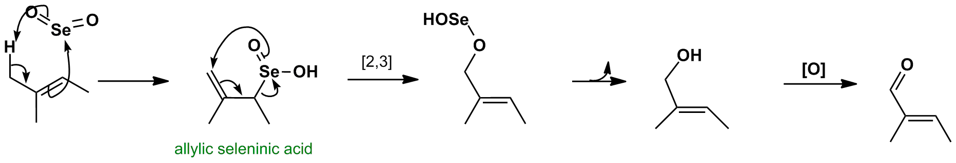 Se allylic oxidation mechanism