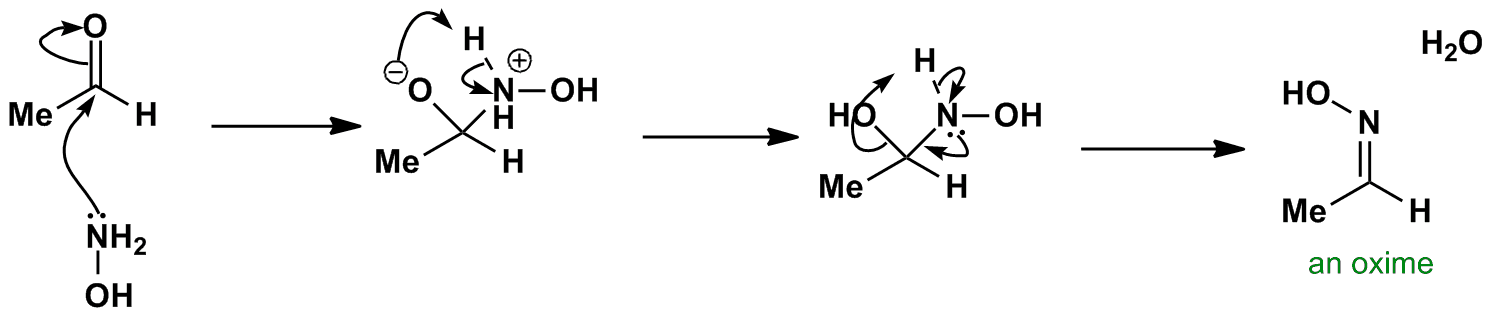 Oxime Formation Mechanism