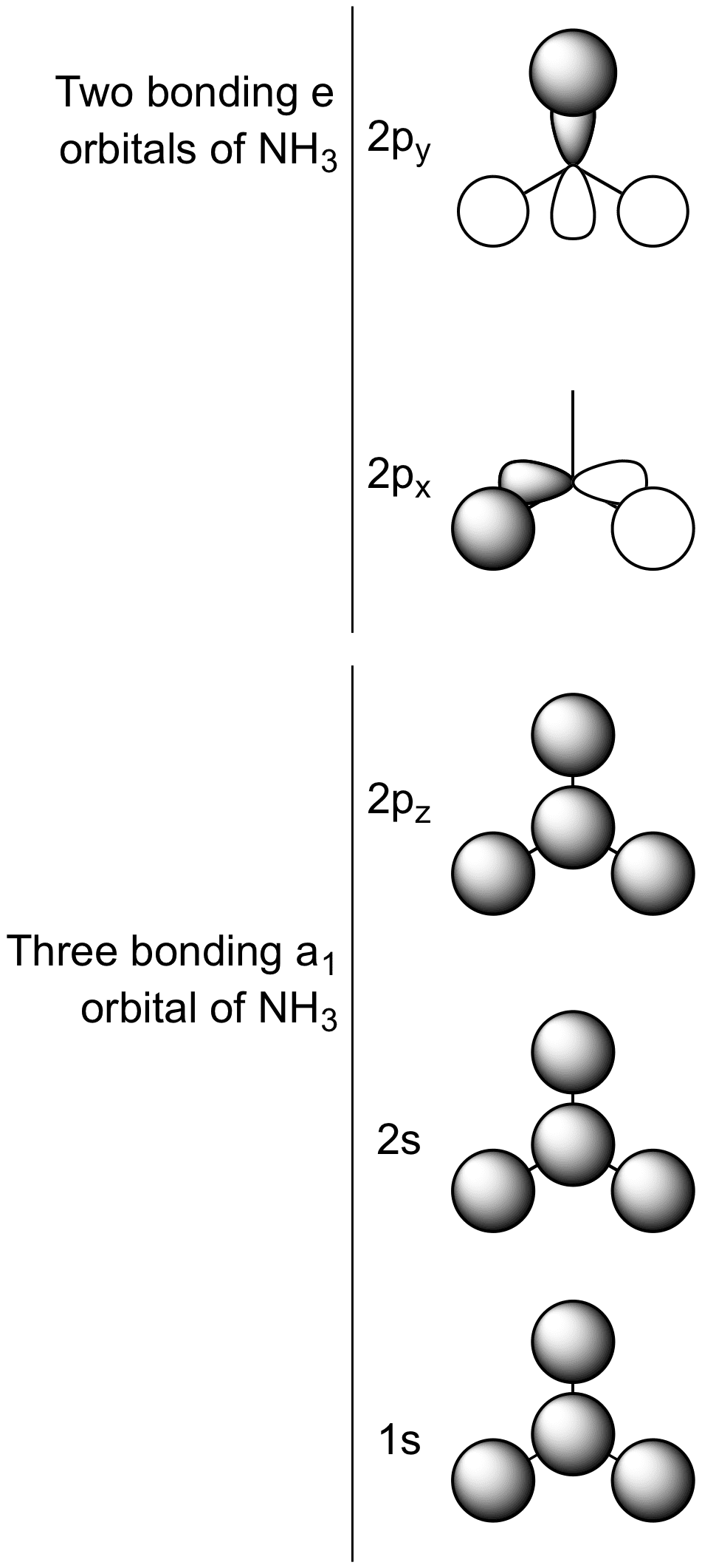 Ammonia Orbitals