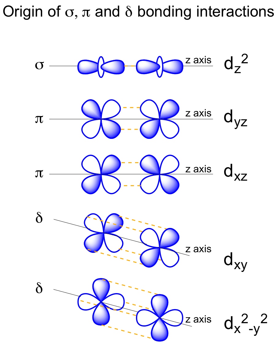 dz2 is capable of forming a σ interaction... 