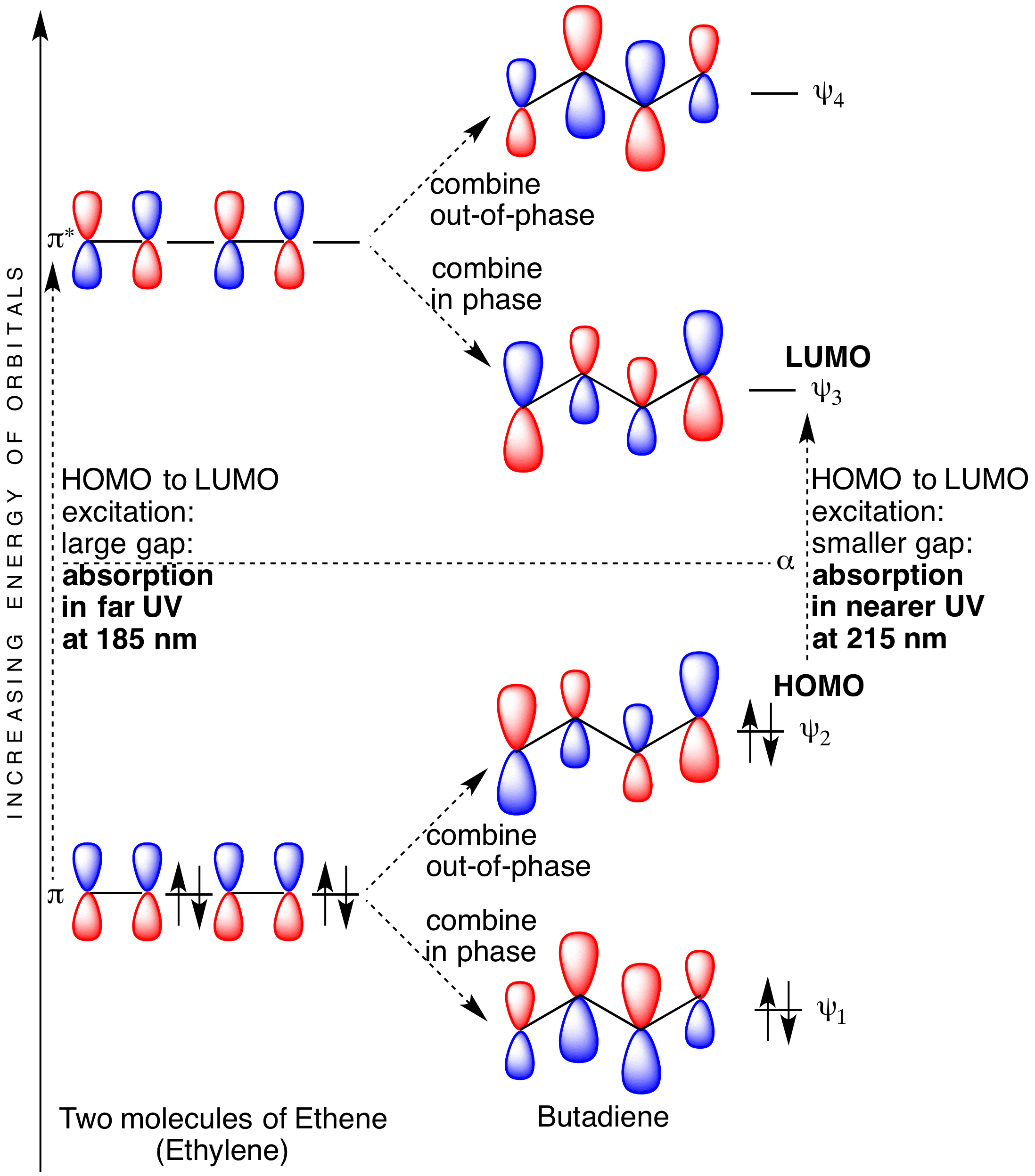 butatdiene orbitals