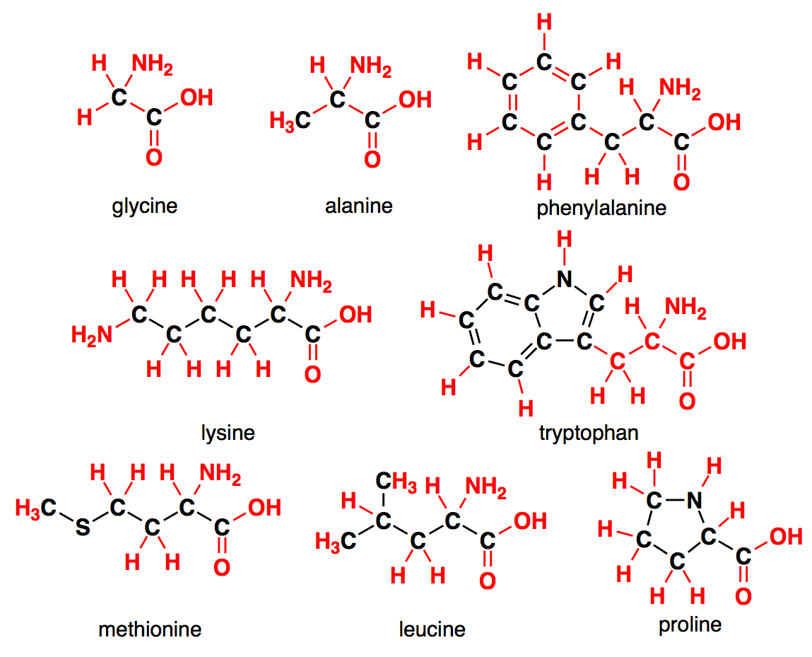  amino acids