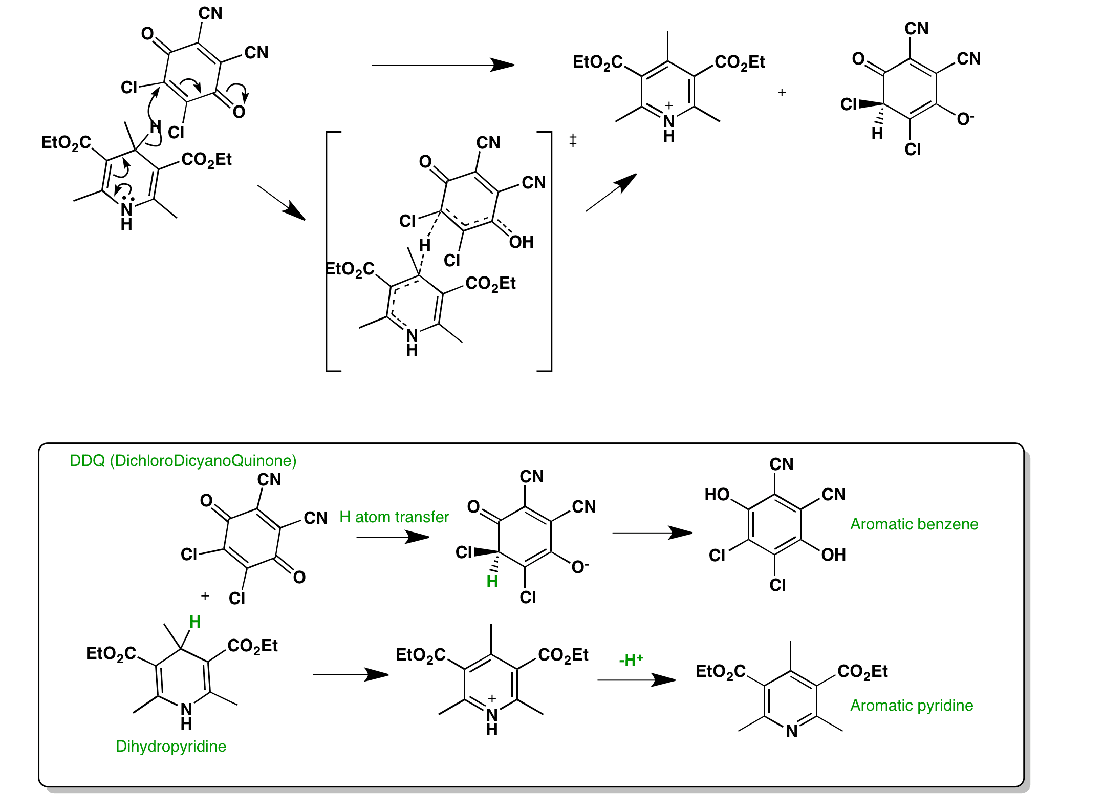 Oxidation of dihydropyridine by DDQ