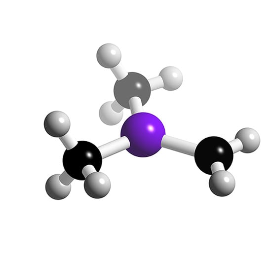 SiMe2=CH2