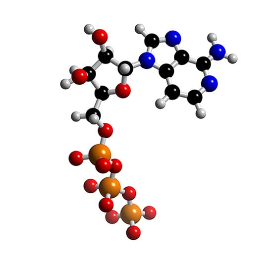 ATP4-