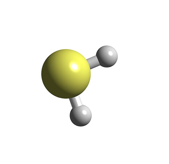 H2S
