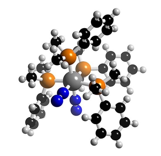 W(N2)2