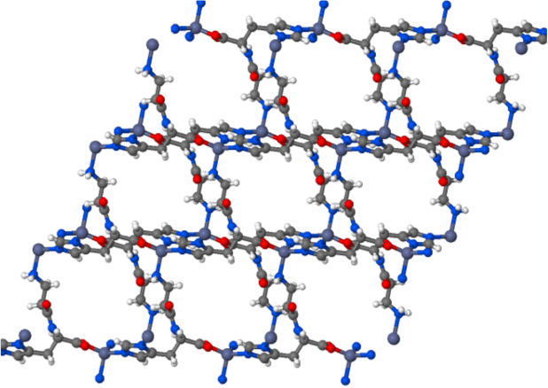 Zn-Carnosine