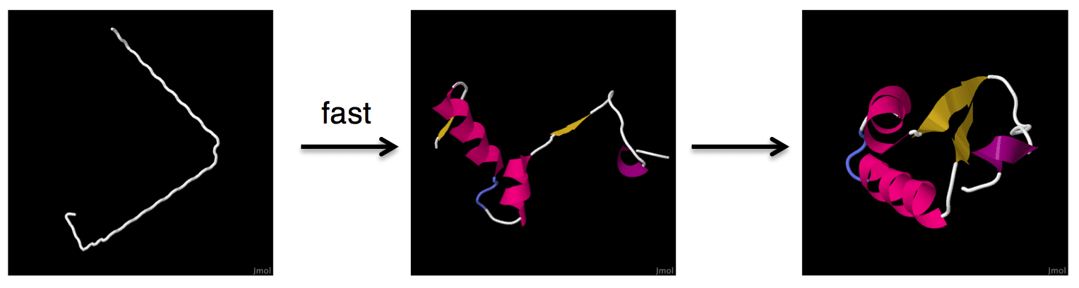 Framework Model of Protein Folding
