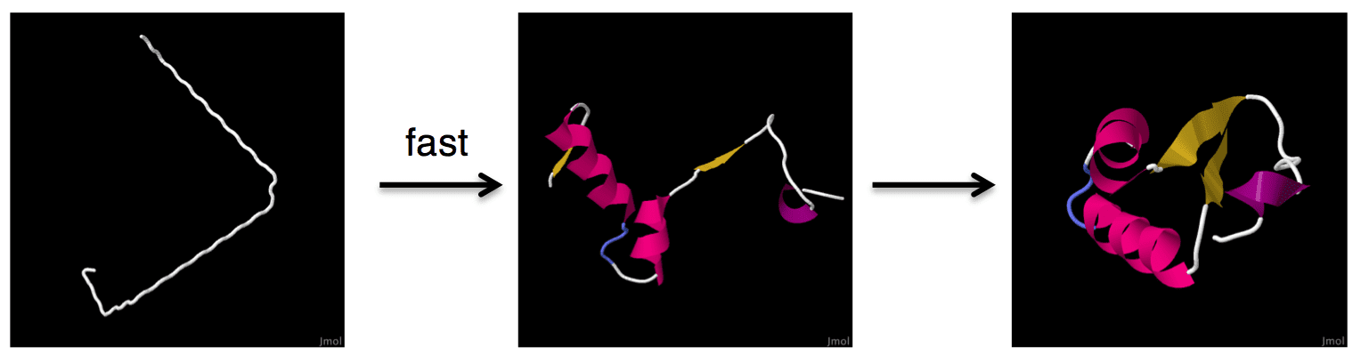 Framework Model of Protein Folding Framework Model of Protein Folding