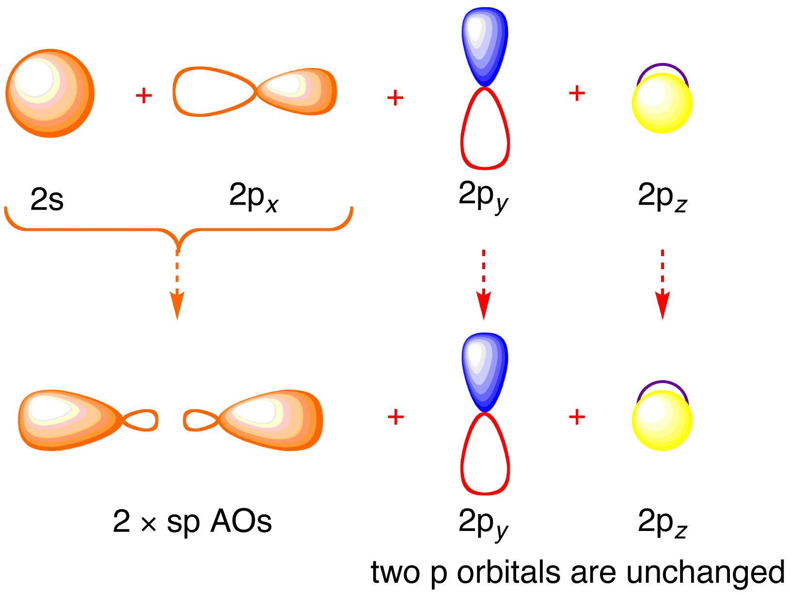 sp hybrids