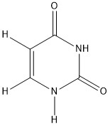 Uracil