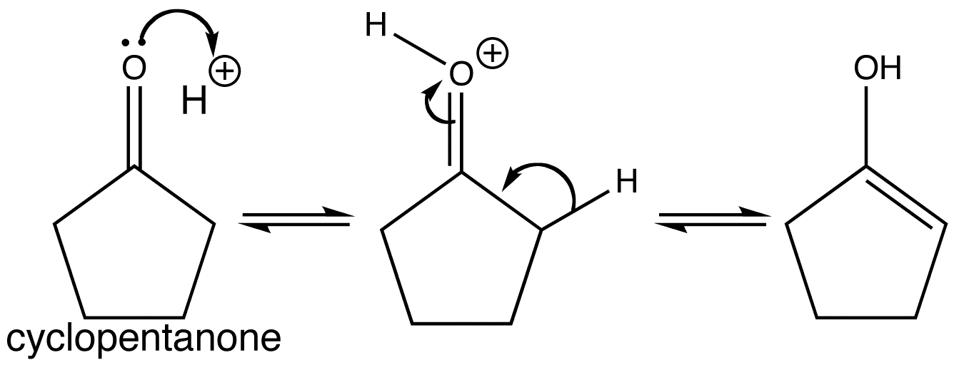 Aldol reaction of cyclopentanone (Step 1)