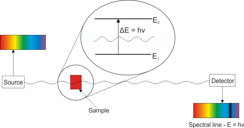 Energy Absorption