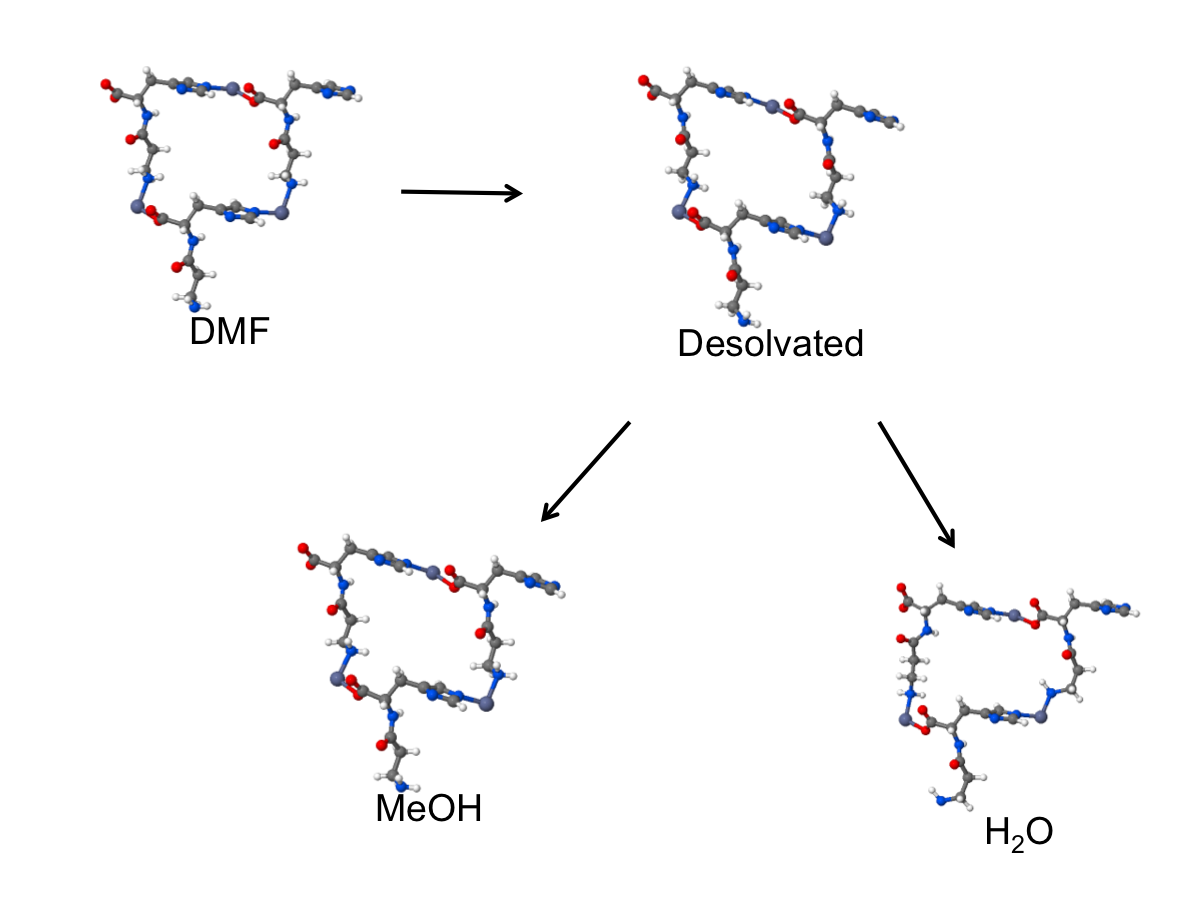 Zn-Carnosine