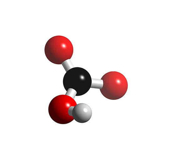 [HCO3]- - Bicarbonate, hydrogen carbonate anion