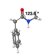 Amide angle 123.6°