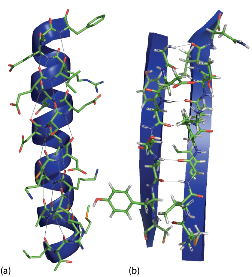 Alpha helix and beta pleated sheet discount