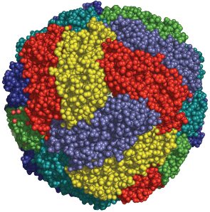 ferritin