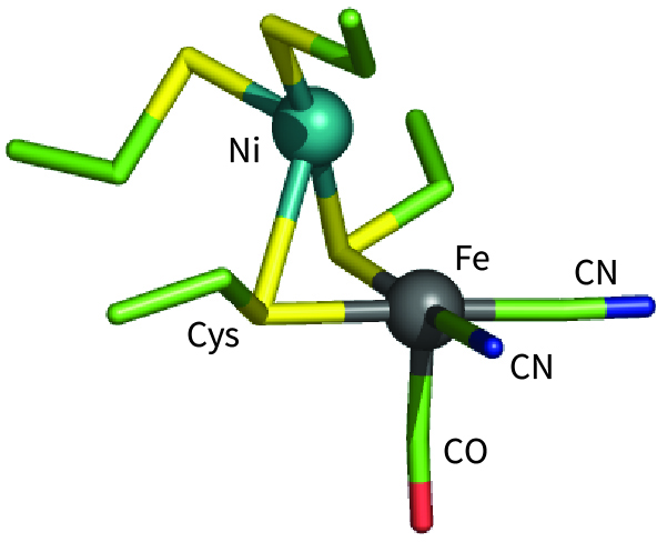 active site of [NiFe]-hydrogenase