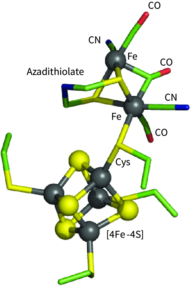 active site of [FeFe]-hydrogenase