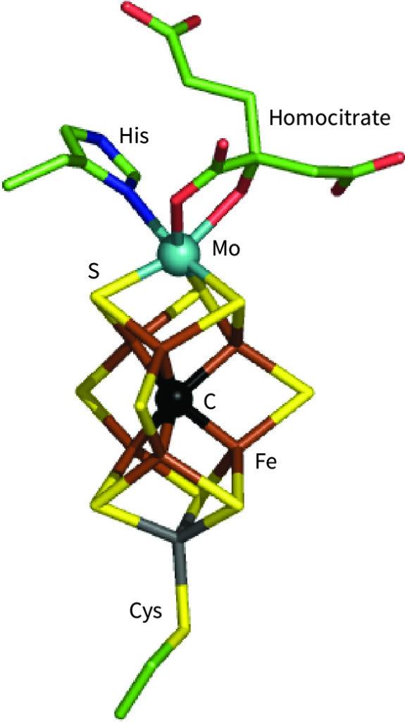 Nitrogenase active site Mo7Fe8S-C