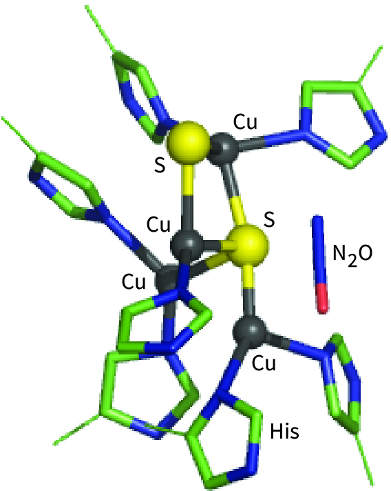 Cuz of N2O reductase