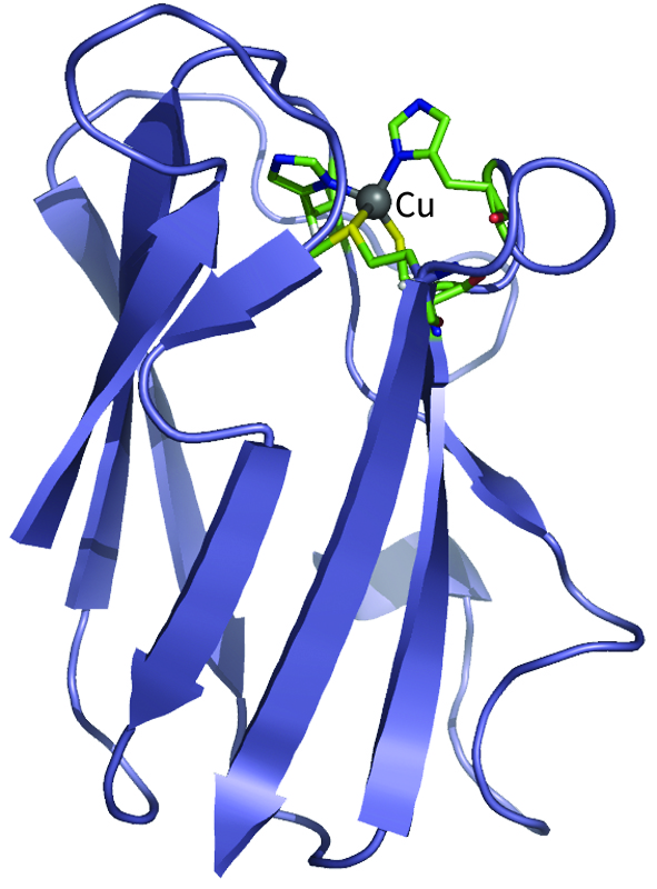 Plastocyanin