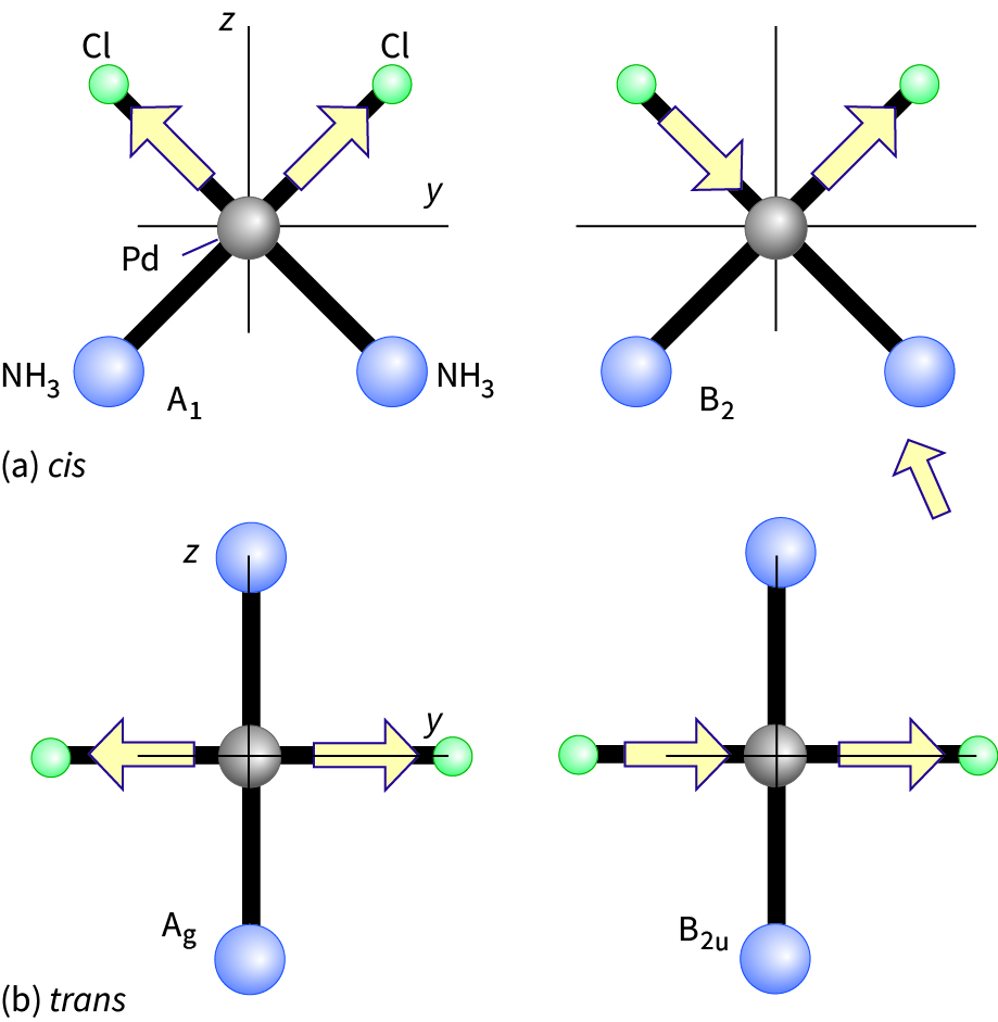 Stretching modes of cis-[PdCl2(NH3)2]