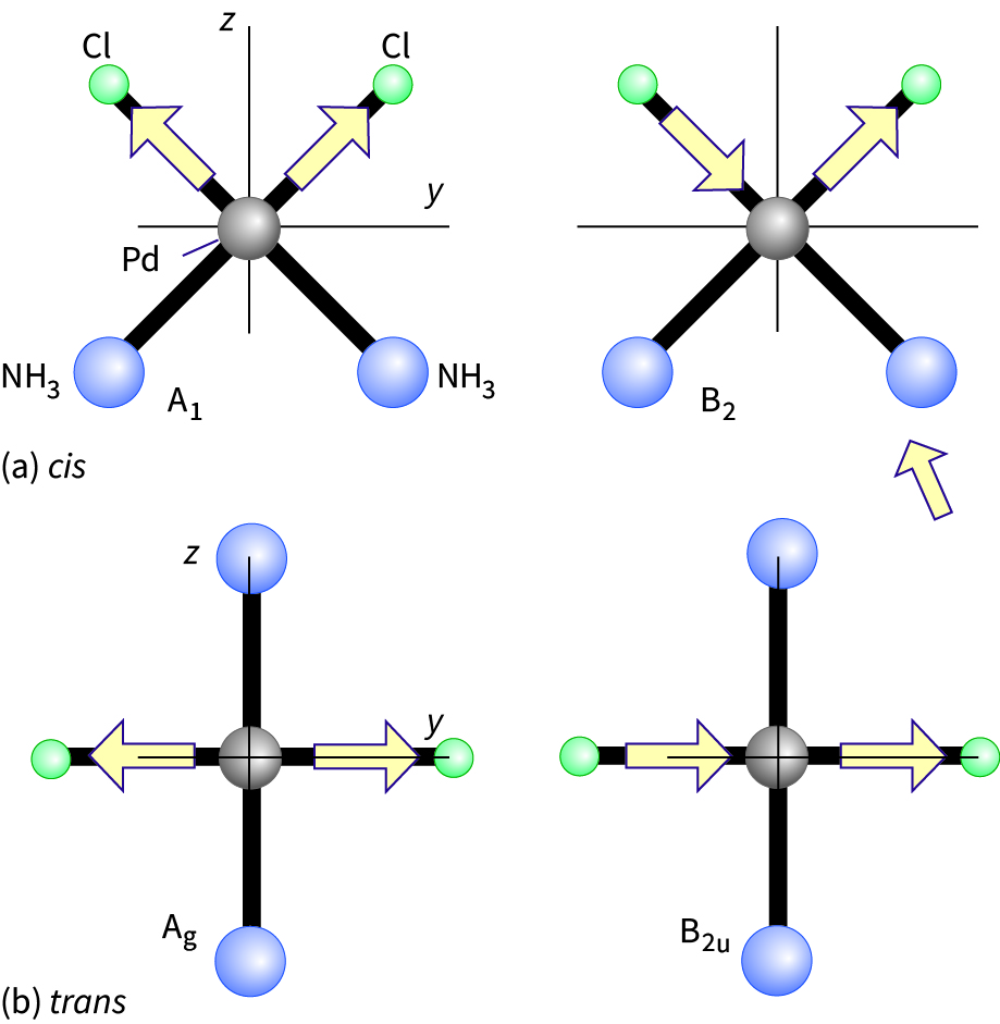 Stretching modes of cis-[PdCl2(NH3)2]