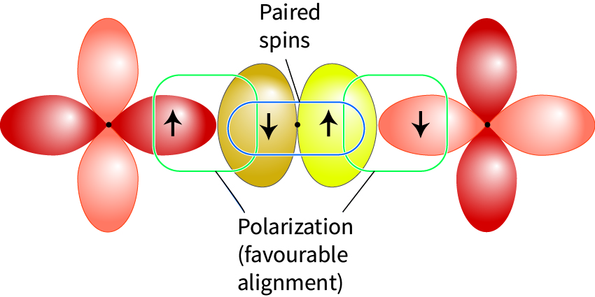 Antiferromagnetic coupling between two metal centres created by spin polarization of a bridging ligand.