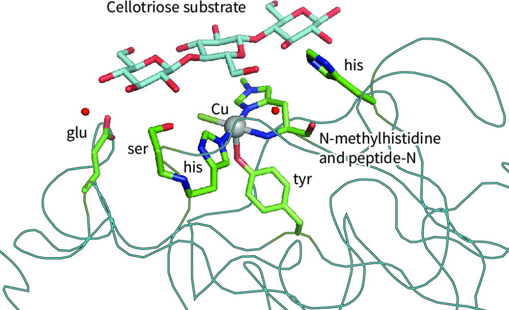 copper oxygenase