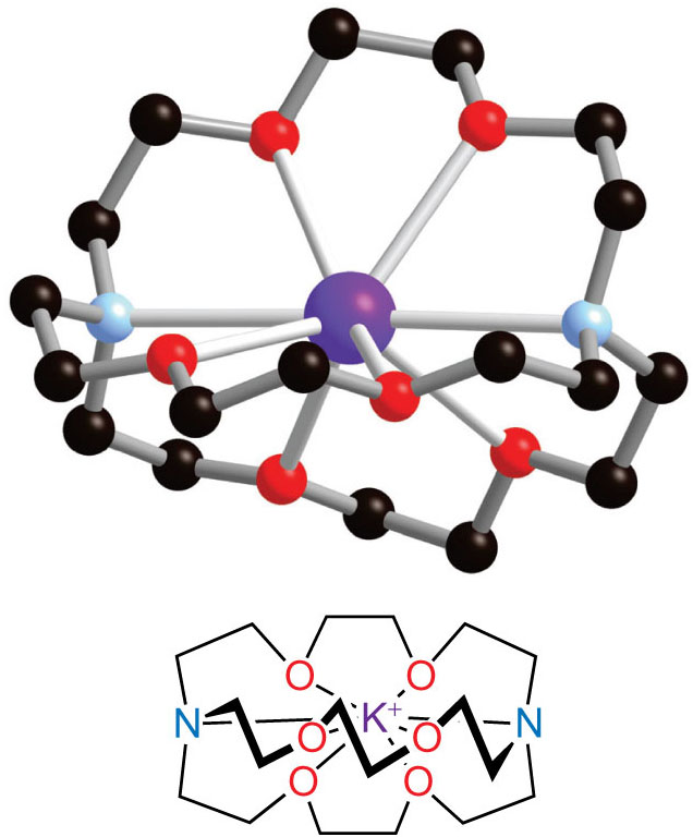Potassium/cryptand structure