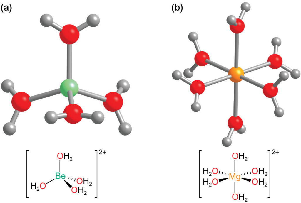  [Be(H2O)4] 2+ and (b) [Mg(H2O)6] 2+