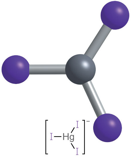 [HgI3]− (trigonal planar).