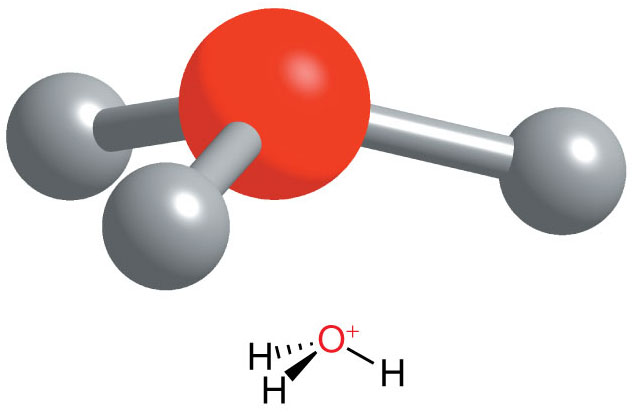 The oxonium ion, H3O+ 