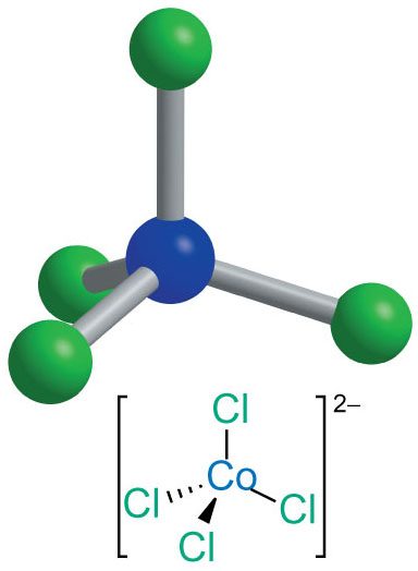 [CoCl4]2− (tetrahedral).