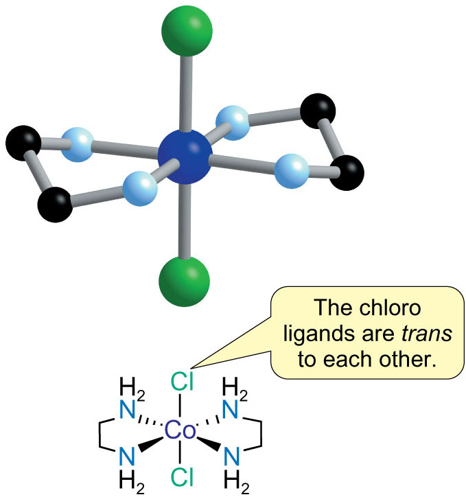 trans-[CoCl2(en)2]+
