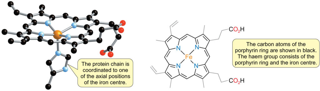 haem with bound imidazole