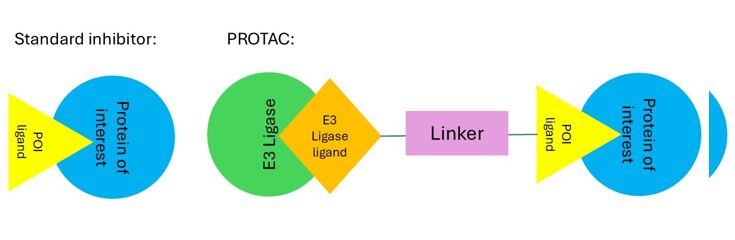 Example of a PROTAC